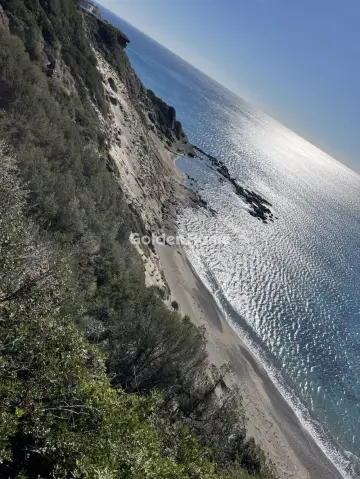 Οικιστικό 8928τ.μ. προς πώληση φωτογραφία 5192664