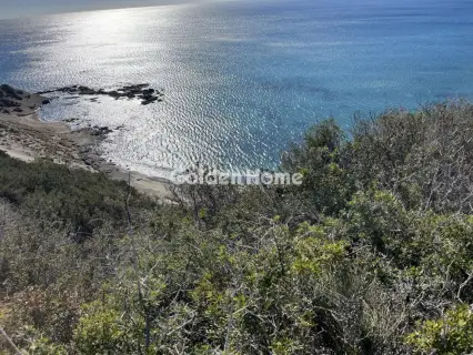 Οικιστικό 8928τ.μ. προς πώληση φωτογραφία 5192665