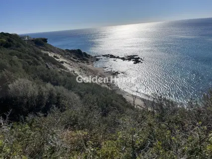 Οικιστικό 8928τ.μ. προς πώληση φωτογραφία 5192666