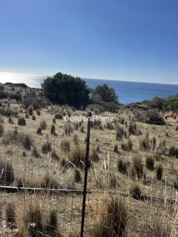 Οικιστικό 8928τ.μ. προς πώληση φωτογραφία 5192674