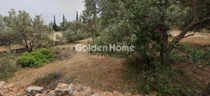 Οικιστικό 502τ.μ. προς πώληση φωτογραφία 5190860
