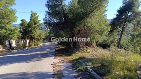 Οικιστικό 1006τ.μ. προς πώληση φωτογραφία 5339060