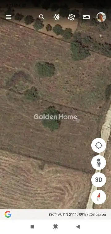 Golden Home Property Image