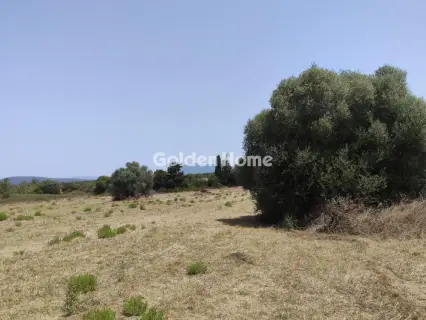 Residential 520m<sup>2</sup> for sale photo 4