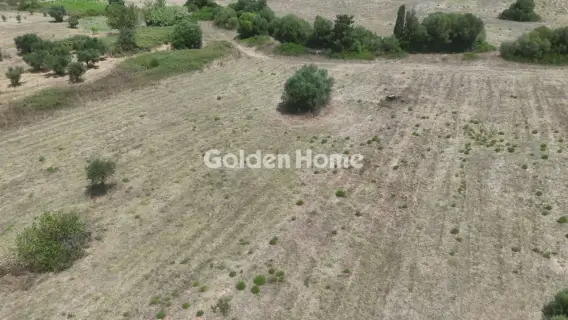 Residential 520m<sup>2</sup> for sale photo 7