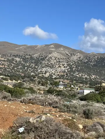 Residential 5000m<sup>2</sup> for sale photo 2