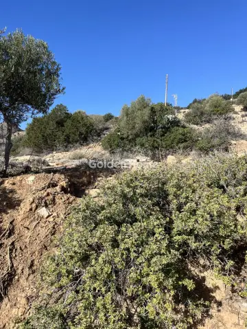 Residential 2000m<sup>2</sup> for sale photo 8