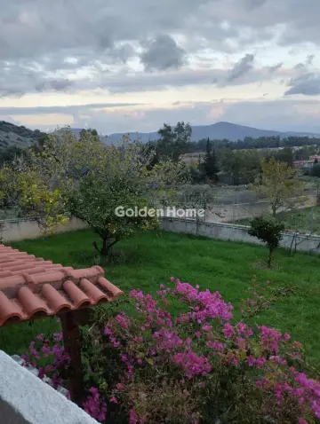 Οικιστικό 1500τ.μ. προς πώληση φωτογραφία 5194048