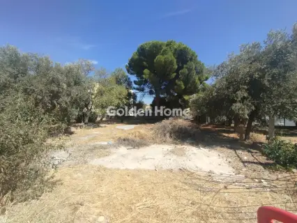 Οικιστικό 911τ.μ. προς πώληση φωτογραφία 1