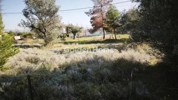Residential 1024m<sup>2</sup> for sale photo 5199106