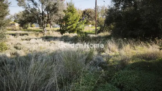 Residential 1024m<sup>2</sup> for sale photo 5199110
