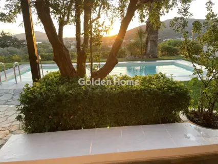 House 157m<sup>2</sup> for rent photo 4