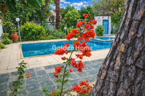 Golden Home Property Image