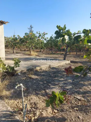 Residential 2750m<sup>2</sup> for sale photo 2