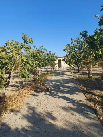 Residential 2750m<sup>2</sup> for sale photo 5