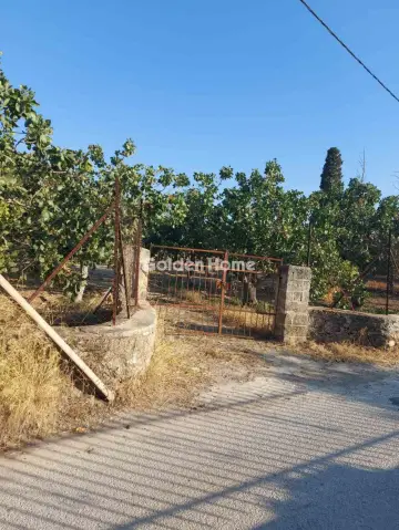 Golden Home Property Image