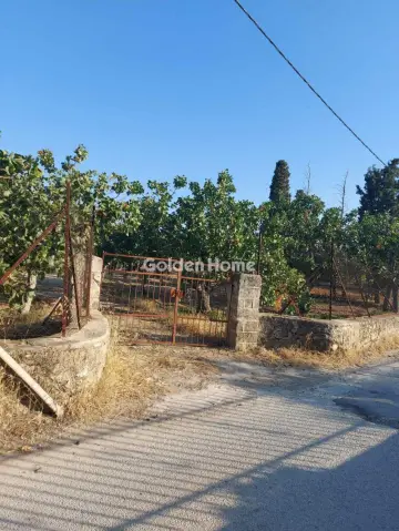 Golden Home Property Image