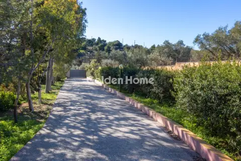 Golden Home Property Image