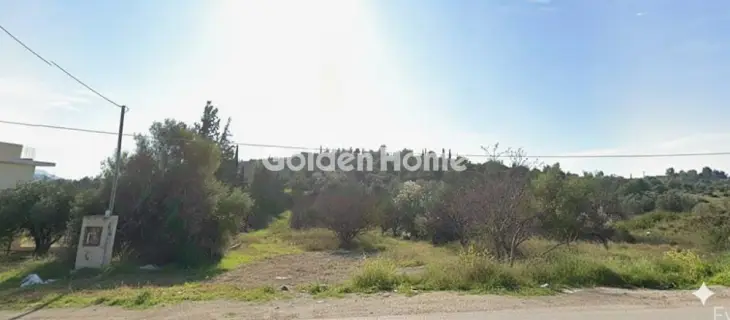 Residential 12000m<sup>2</sup> for sale photo 2