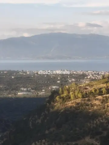 Μονοκατοικία 215τ.μ. προς πώληση φωτογραφία 5202046