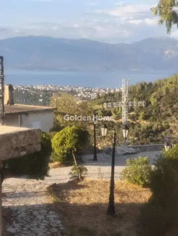 Μονοκατοικία 215τ.μ. προς πώληση φωτογραφία 5202047