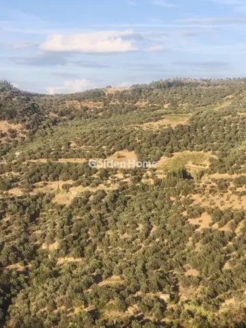 Μονοκατοικία 215τ.μ. προς πώληση φωτογραφία 5202048