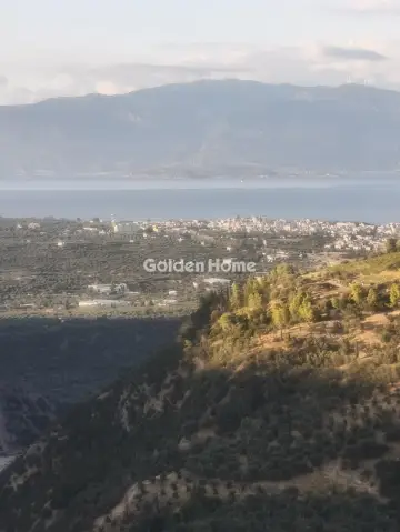 Μονοκατοικία 215τ.μ. προς πώληση φωτογραφία 5202050