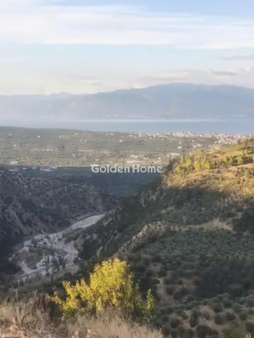 Μονοκατοικία 215τ.μ. προς πώληση φωτογραφία 5202050