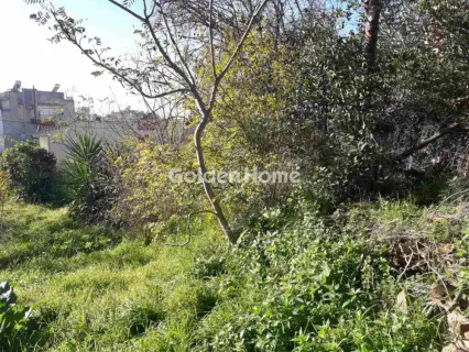 Residential 192m<sup>2</sup> for sale photo 5202227