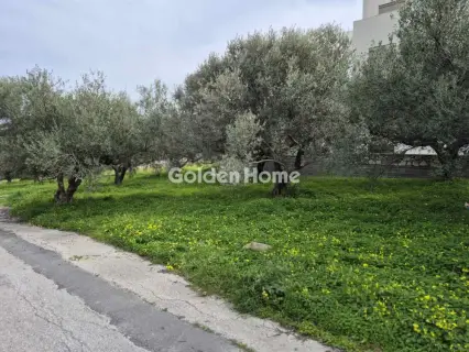 Residential 895m<sup>2</sup> for sale photo 5336526