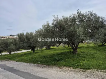 Residential 895m<sup>2</sup> for sale photo 5336526