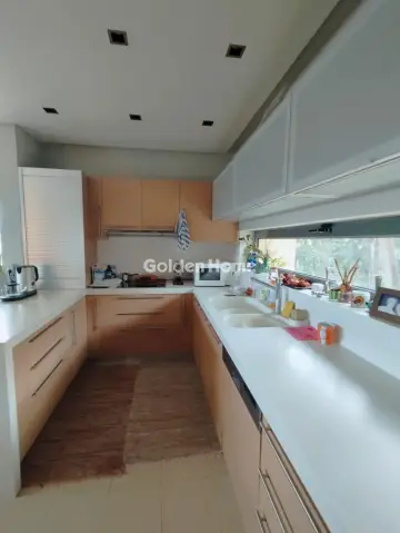 Μονοκατοικία 380τ.μ. προς πώληση φωτογραφία 3