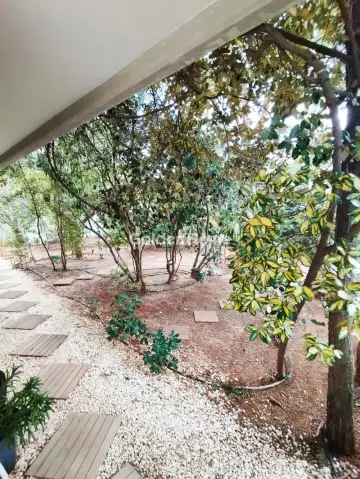 Μονοκατοικία 380τ.μ. προς πώληση φωτογραφία 32