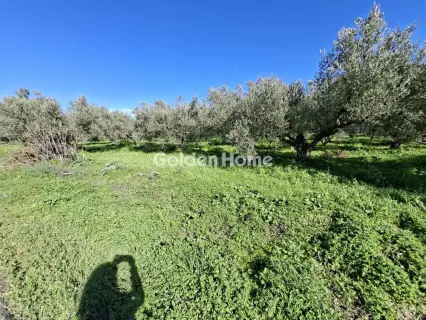 Residential 1000m<sup>2</sup> for sale photo 5209253