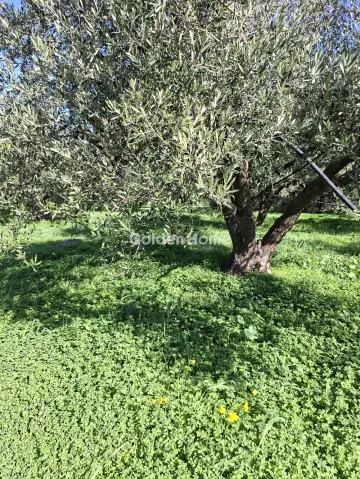 Residential 1308m<sup>2</sup> for sale photo 5209388