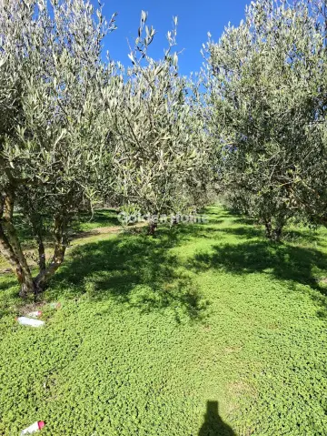 Residential 1308m<sup>2</sup> for sale photo 5209389
