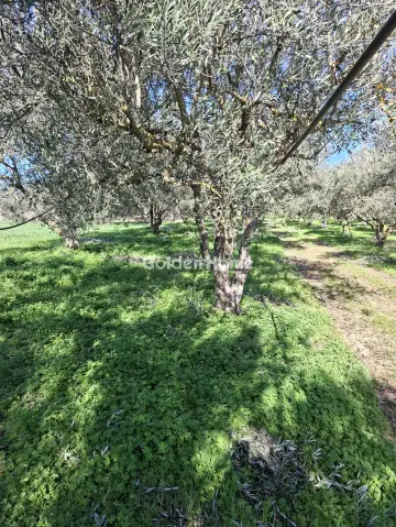 Residential 1308m<sup>2</sup> for sale photo 5209391