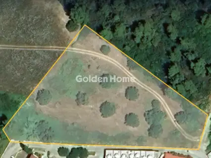 Αγροτεμάχιο 5458τ.μ. προς πώληση φωτογραφία 5404839