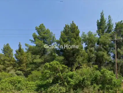 Αγροτεμάχιο 5458τ.μ. προς πώληση φωτογραφία 5404843