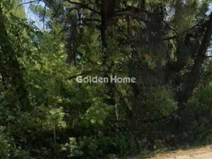 Αγροτεμάχιο 5458τ.μ. προς πώληση φωτογραφία 5404866