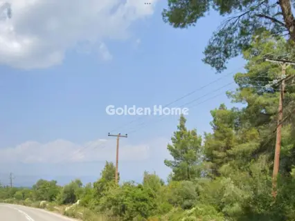 Αγροτεμάχιο 5458τ.μ. προς πώληση φωτογραφία 5404869