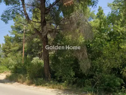 Αγροτεμάχιο 5458τ.μ. προς πώληση φωτογραφία 5404872