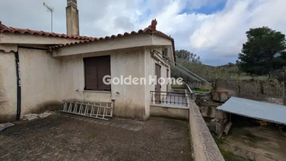 Golden Home Property Image