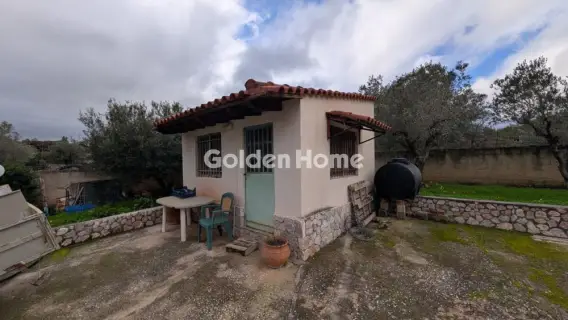 Golden Home Property Image