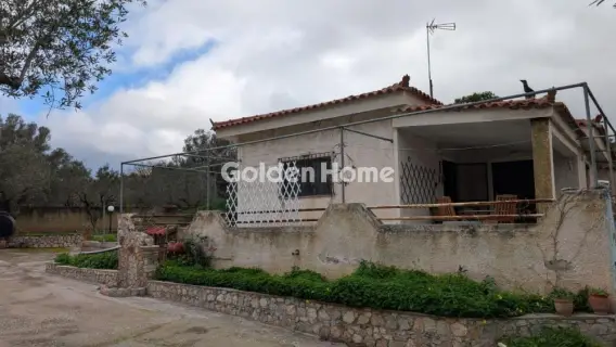 Golden Home Property Image
