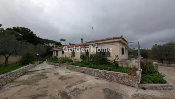 Golden Home Property Image