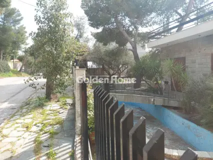 Οικιστικό 1107τ.μ. προς πώληση φωτογραφία 5315659