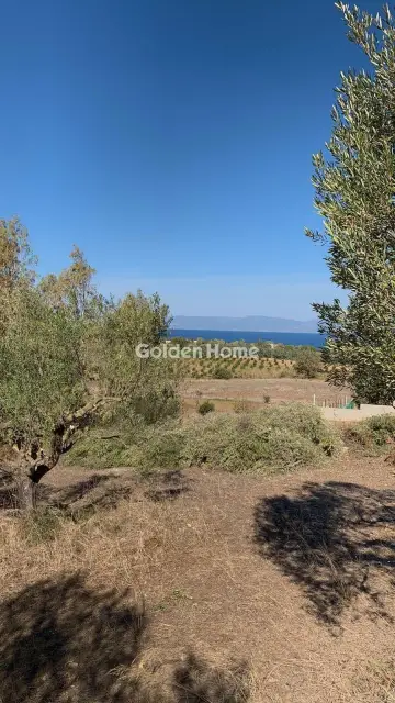 Αγροτεμάχιο 15000τ.μ. προς πώληση φωτογραφία 5323919