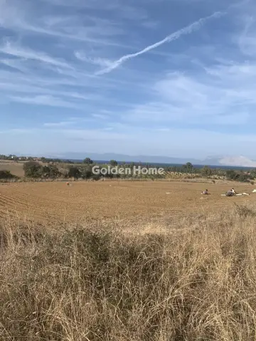 Αγροτεμάχιο 15000τ.μ. προς πώληση φωτογραφία 5323920