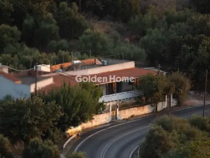 Golden Home Property Image